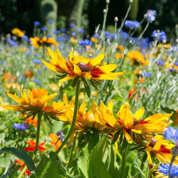 Meet your Posher, Laura - Picture 1 of 1